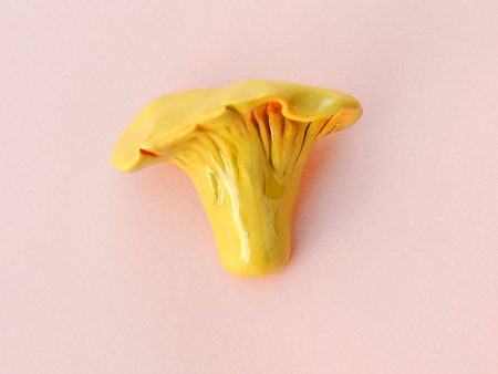 Broșă ciupercă Cantharellus cibarius, Gălbior